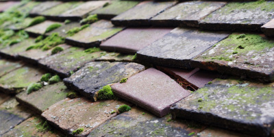Witchford roof repair costs